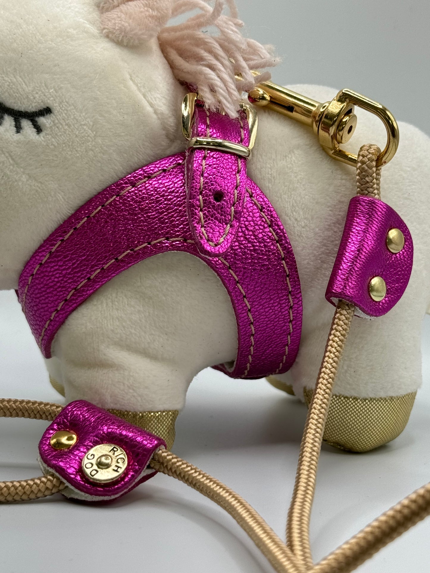 Fuschia 'Metal' harness and matching leash