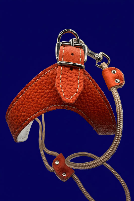 Harnais orange sellier