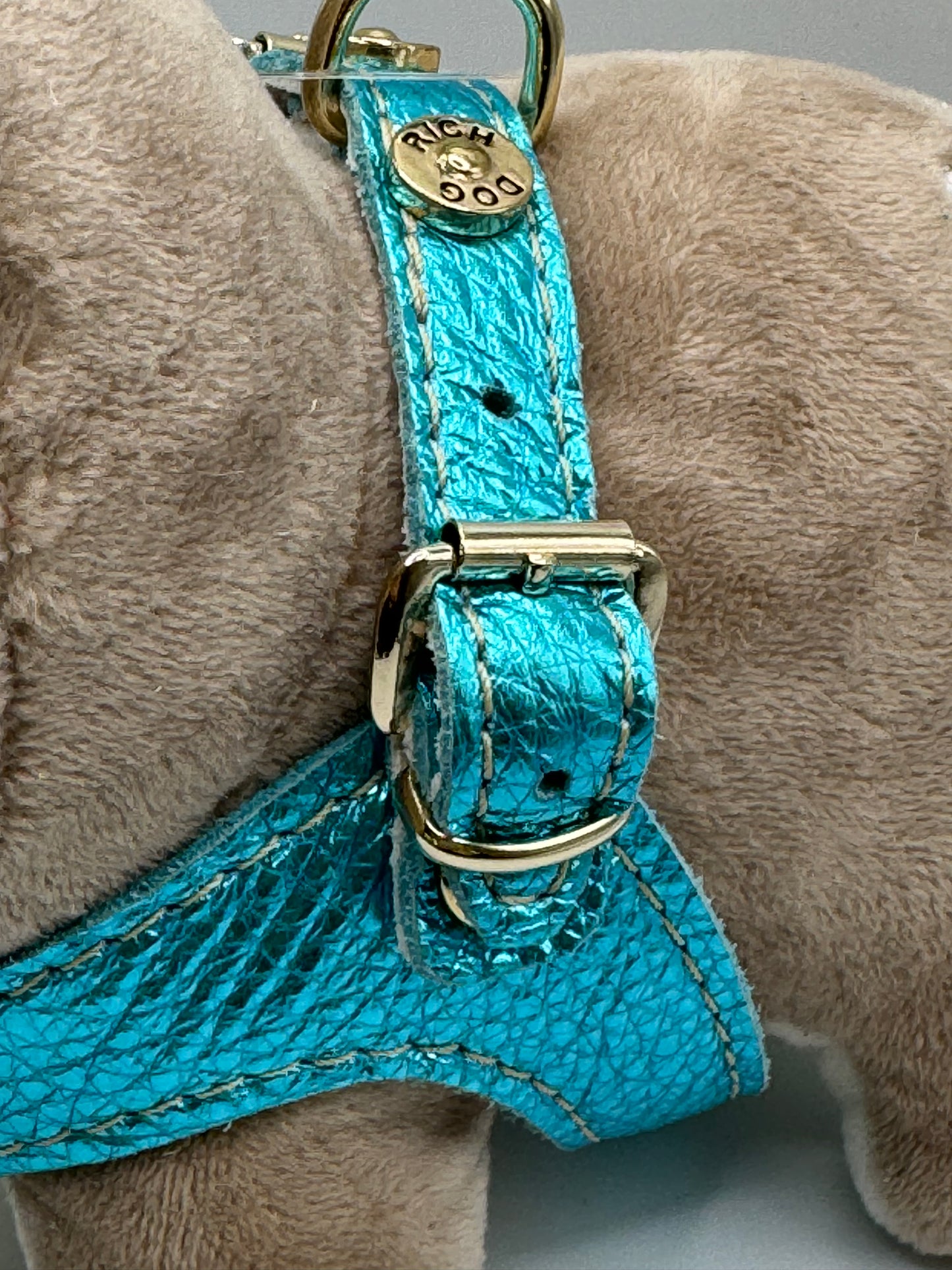 Cyan 'Metal' harness and matching leash