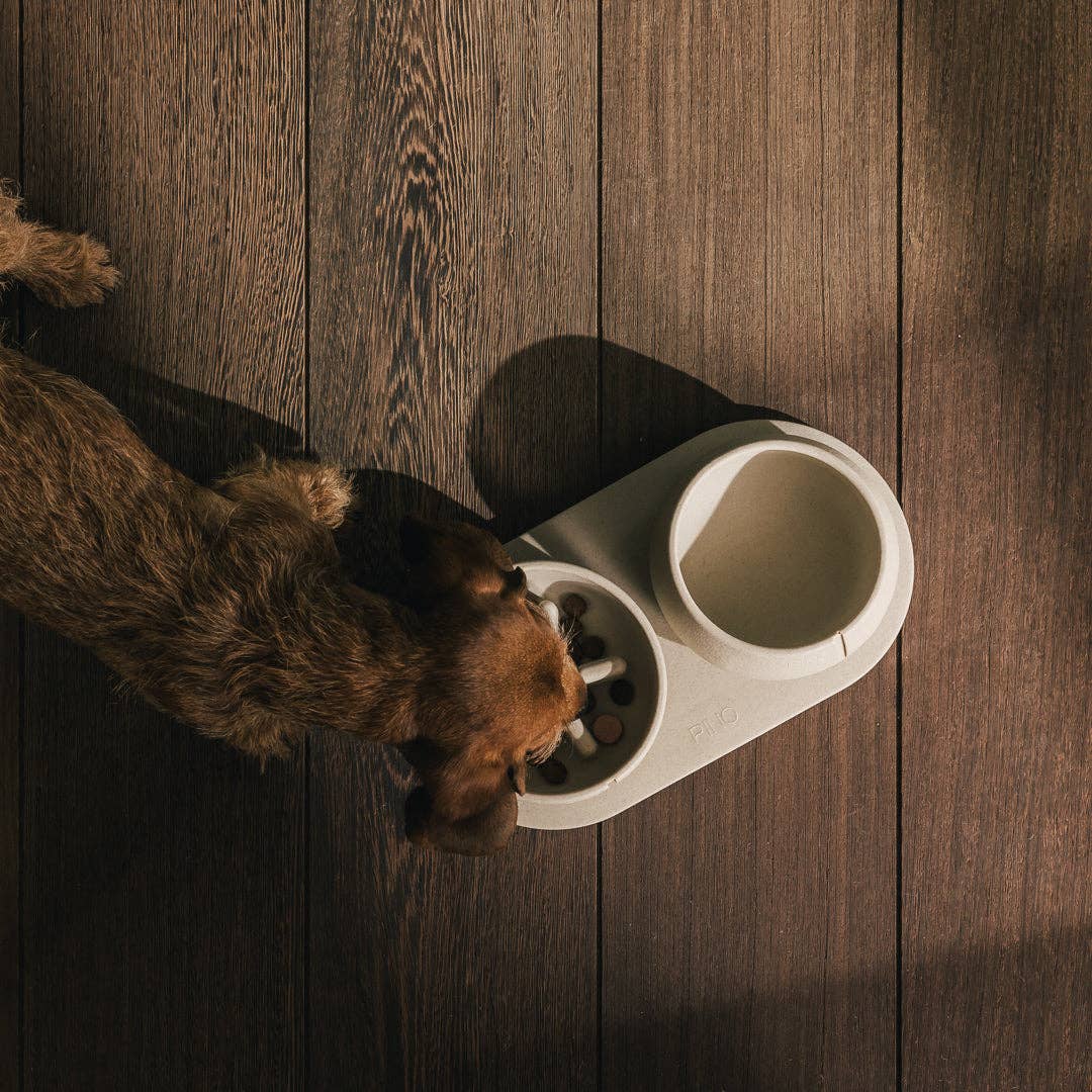 Plateau pour chiens