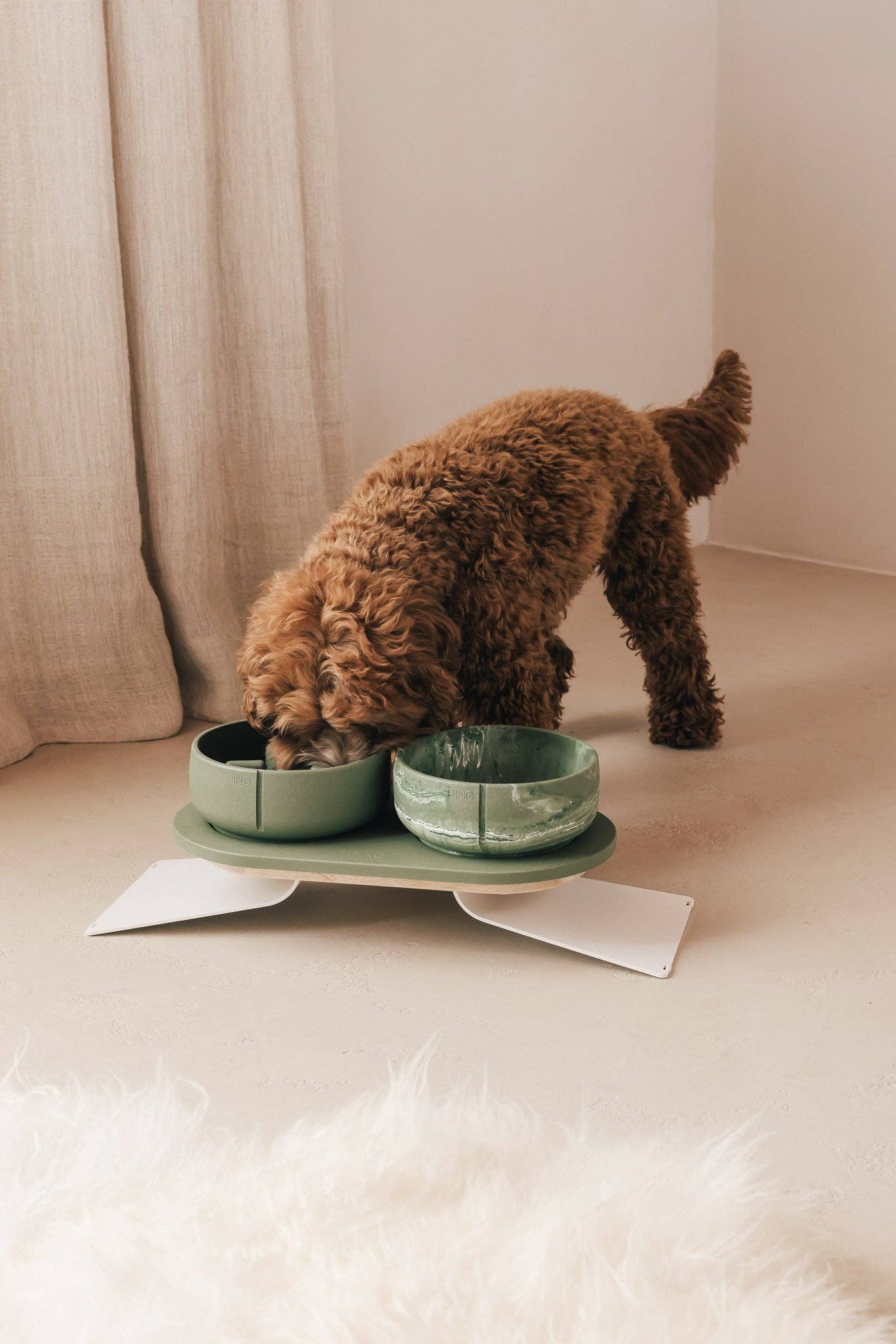 Gamelle pour chien à alimentation lente