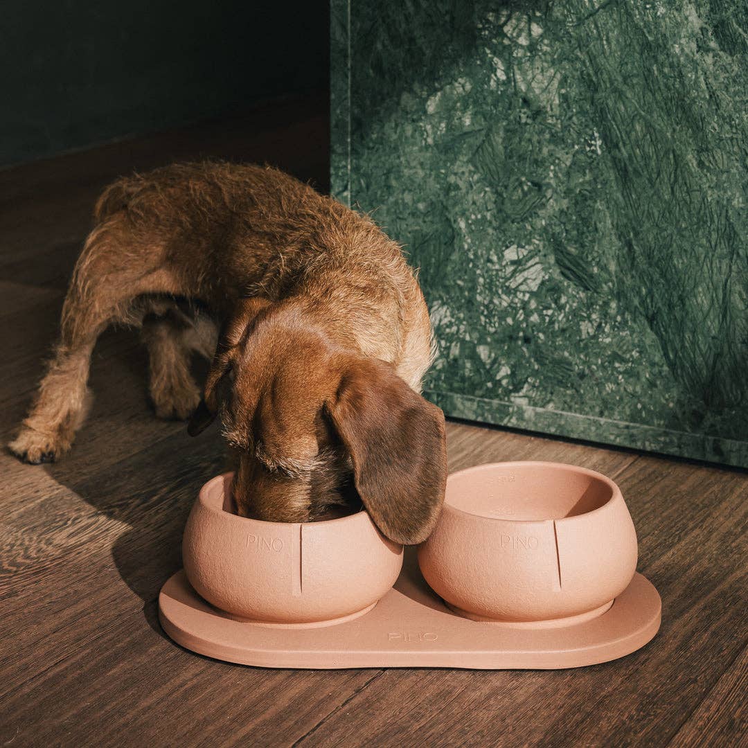Plateau pour chiens
