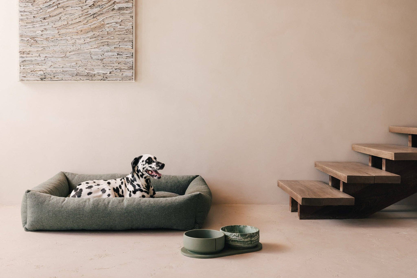 Bol classique pour chien