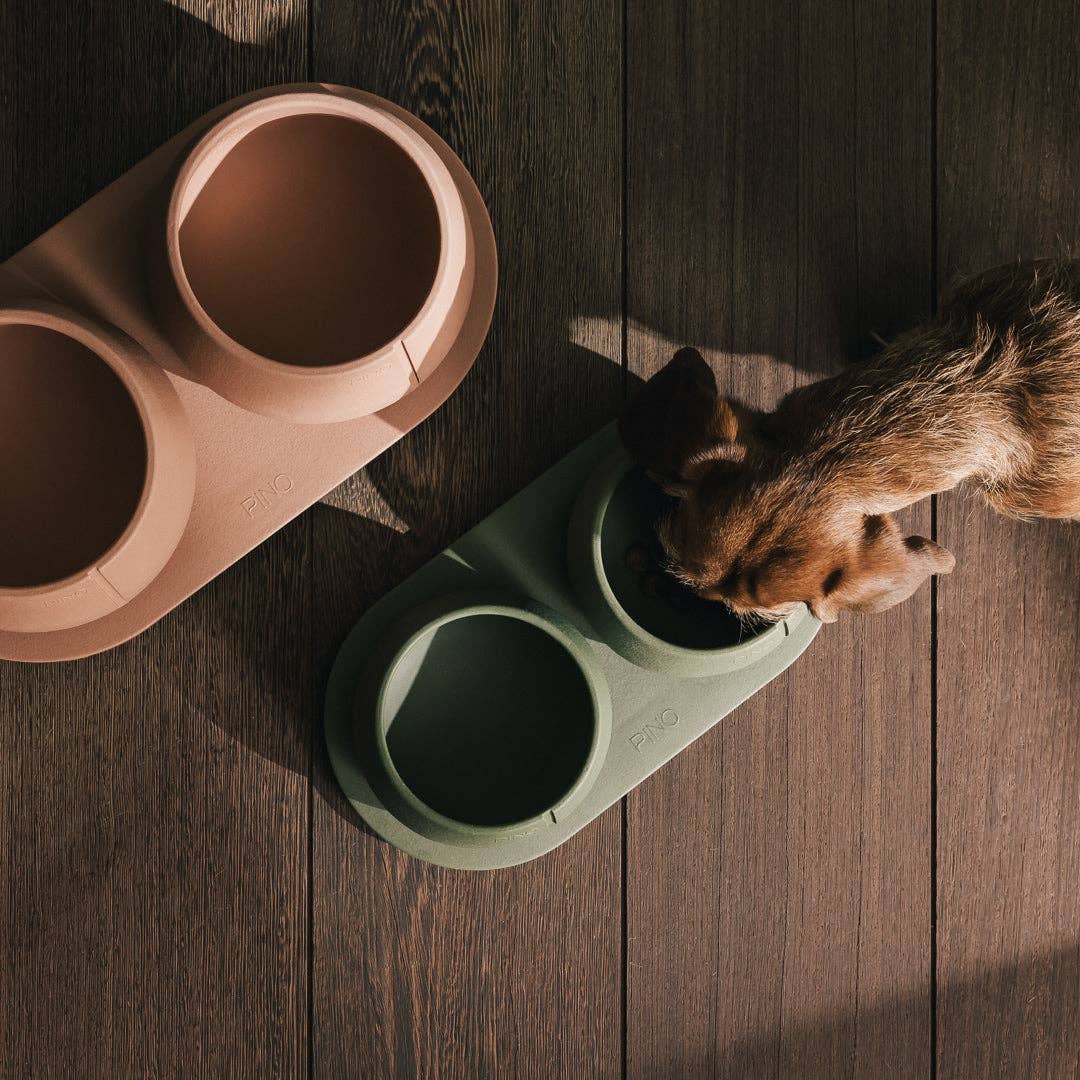 Plateau pour chiens