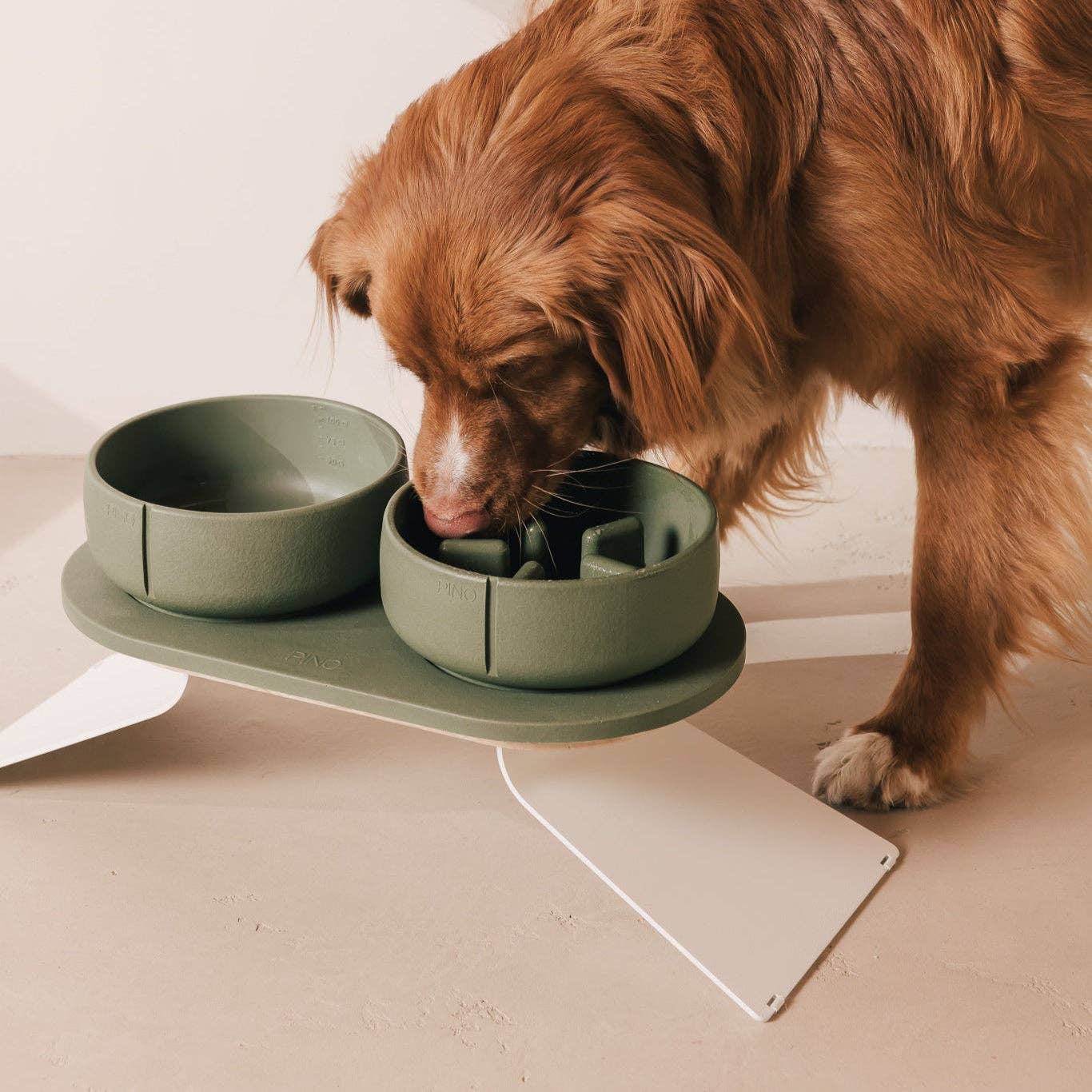 Gamelle pour chien à alimentation lente