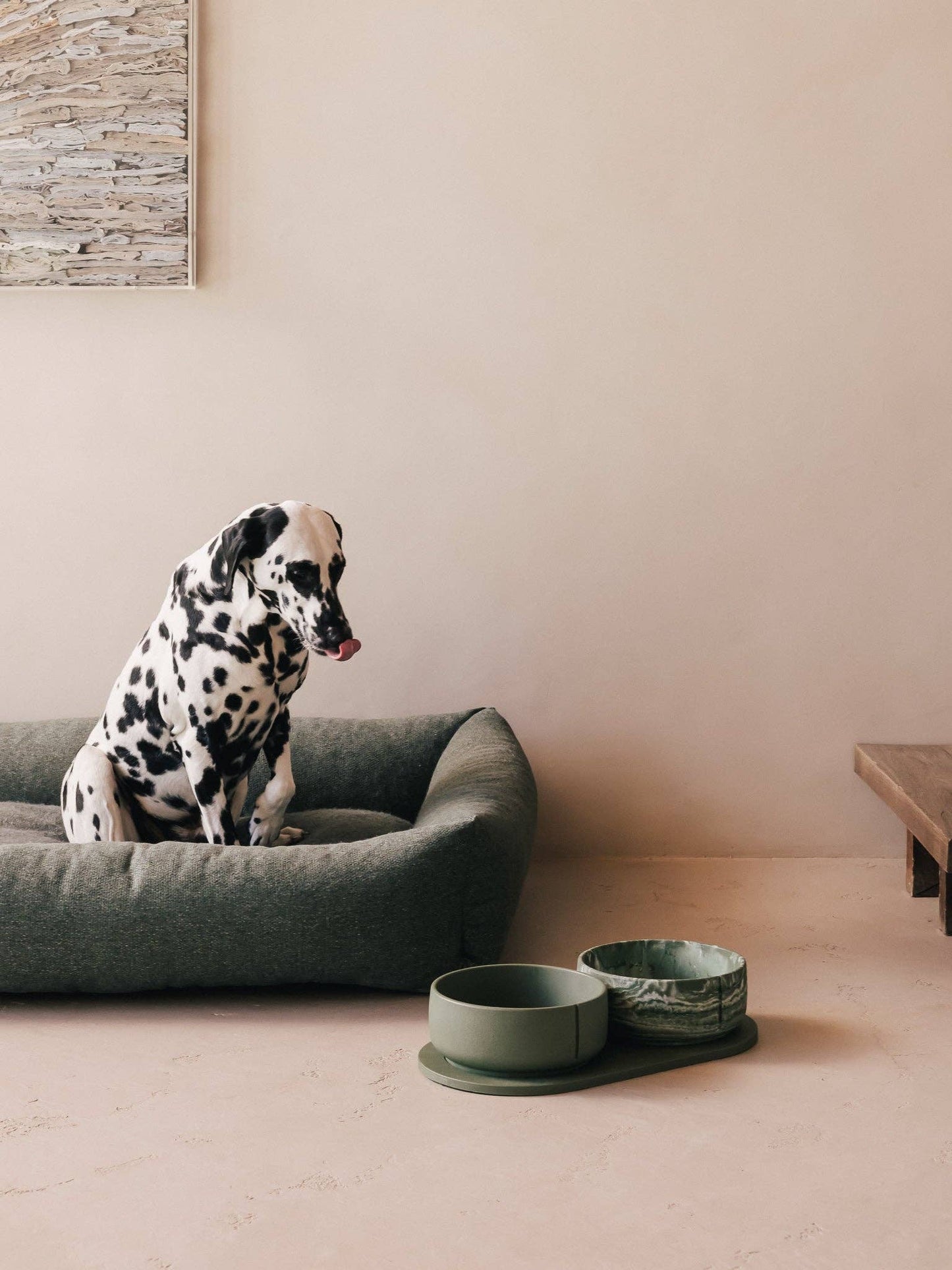 Bol classique pour chien