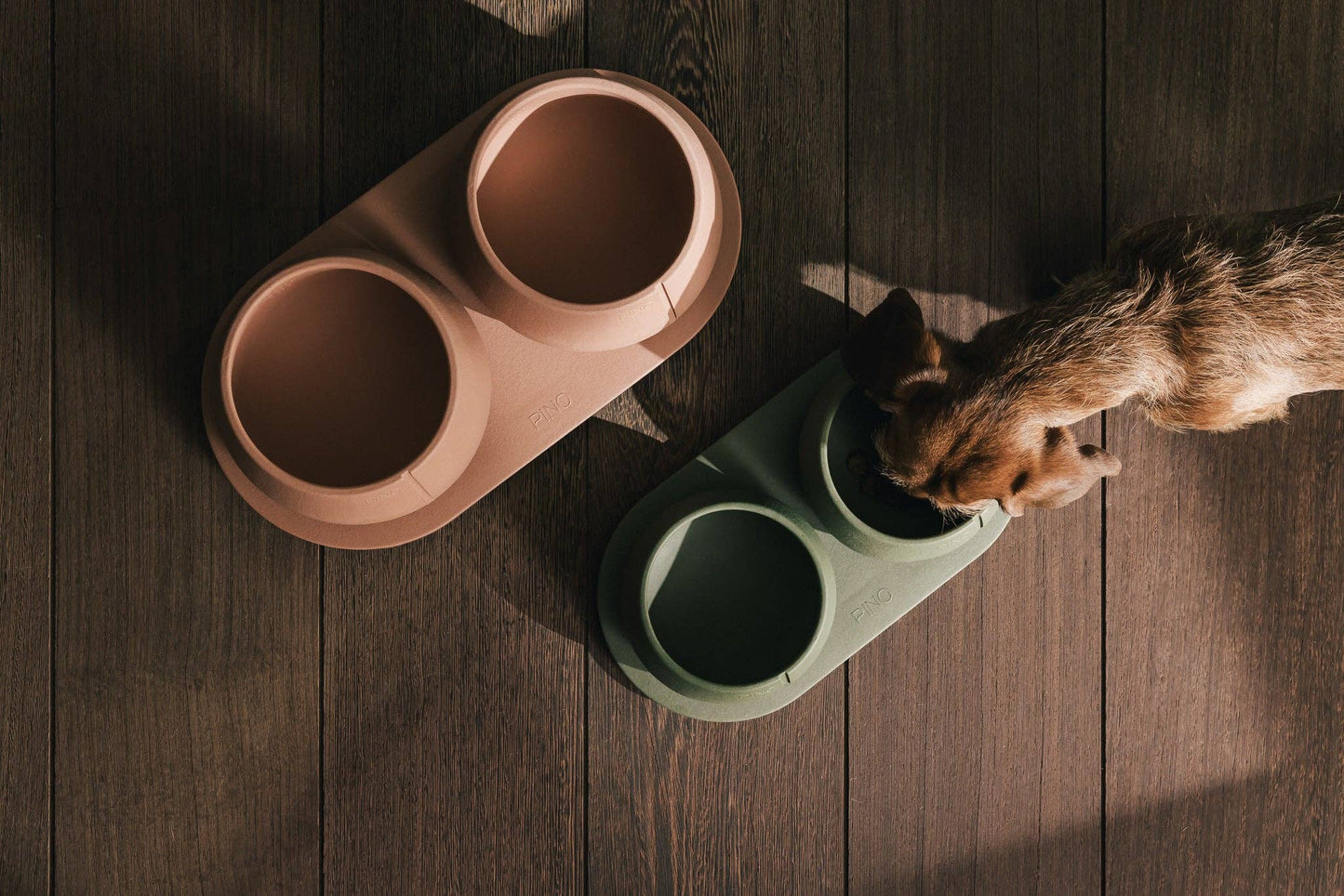 Plateau pour chiens