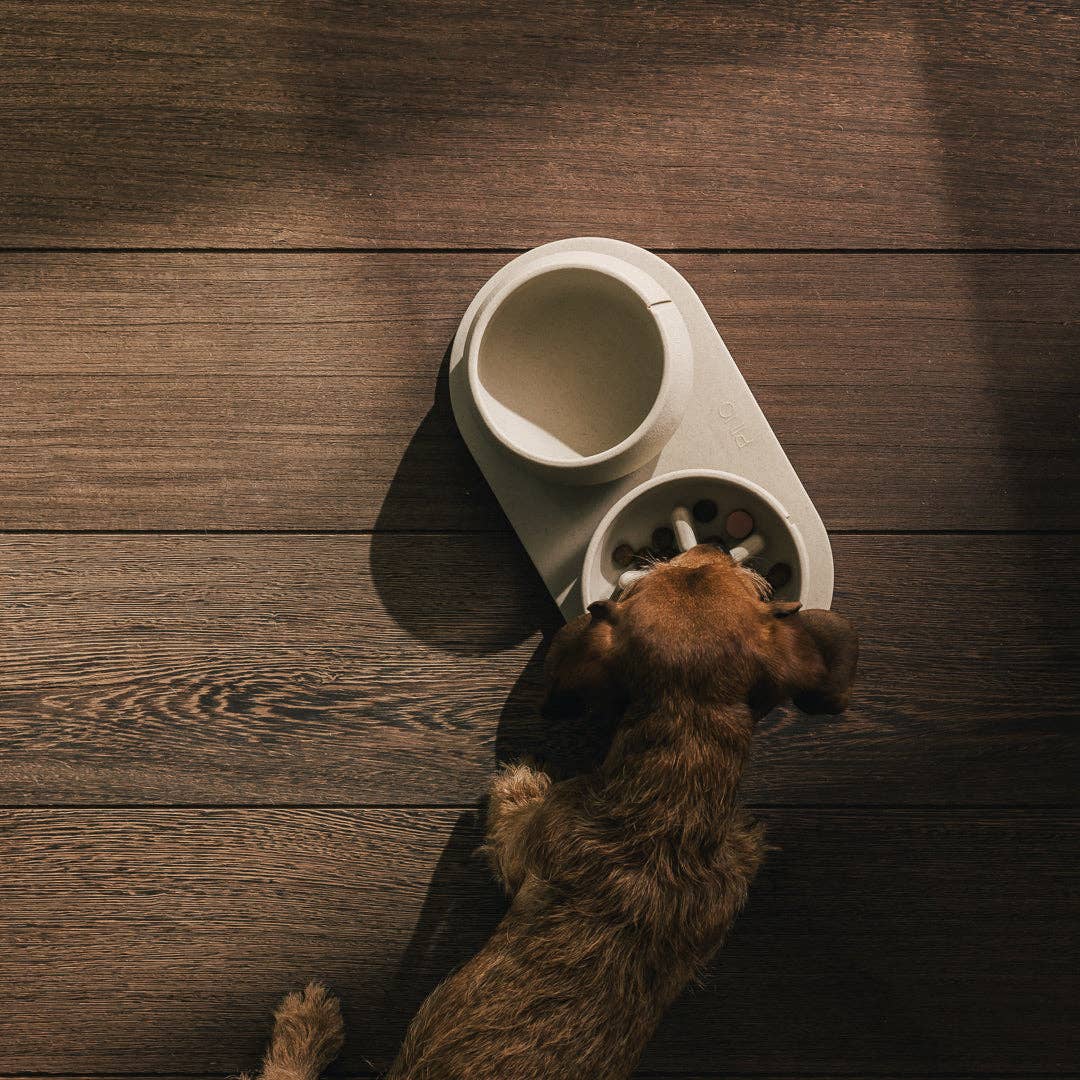 Plateau pour chiens