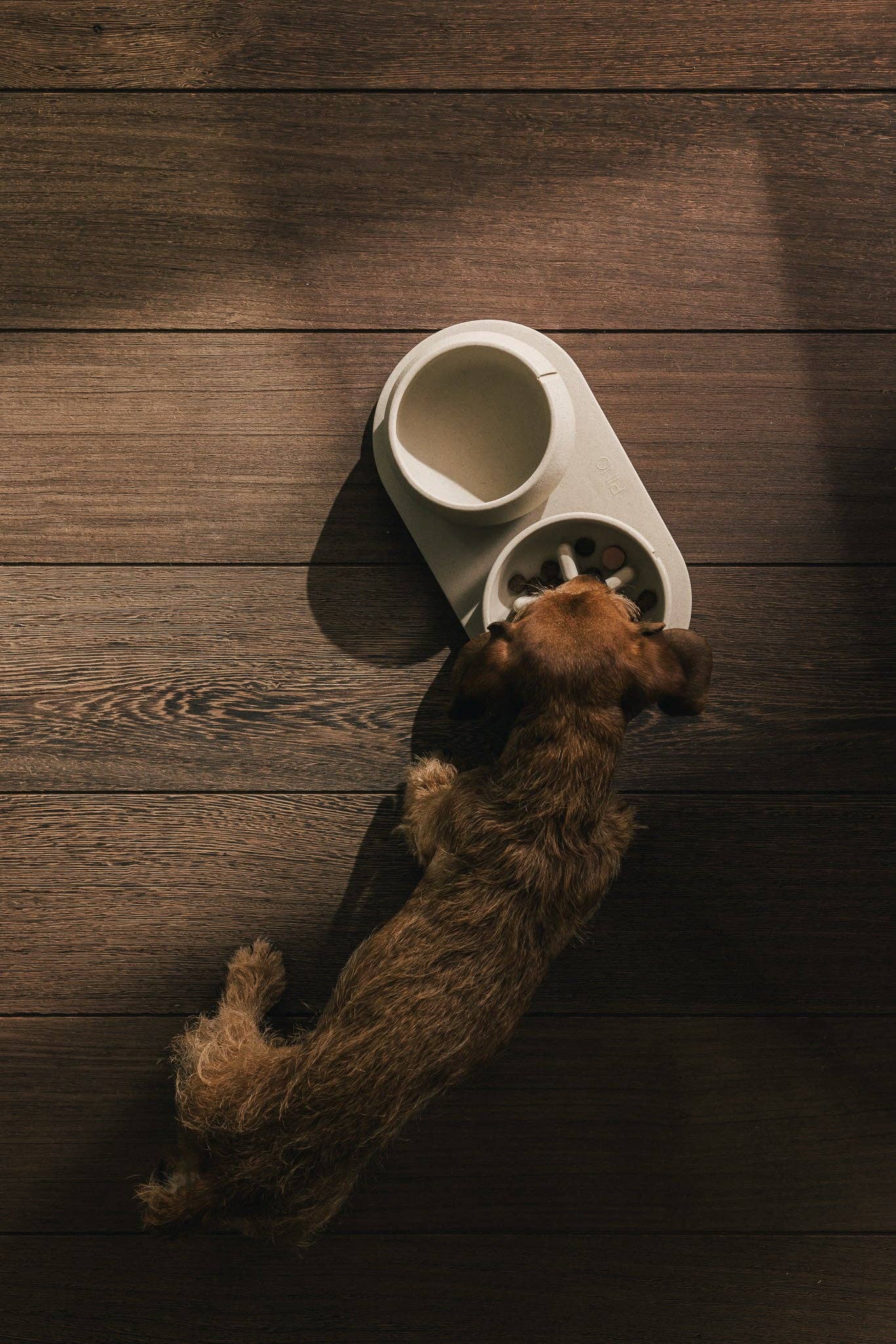 Gamelle pour chien à alimentation lente